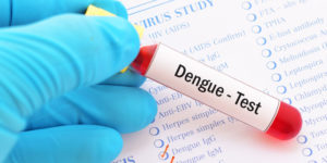 Incremento en los casos de dengue preocupa a las autoridades de salud
