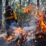 #IncendiosForestales | ¿Serán provocados o espontáneos?